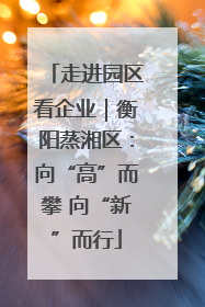 走进园区看企业｜衡阳蒸湘区：向“高”而攀 向“新”而行