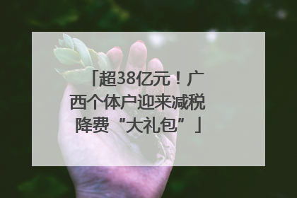 超38亿元！广西个体户迎来减税降费“大礼包”