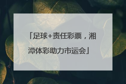 足球+责任彩票，湘潭体彩助力市运会