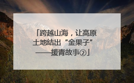 跨越山海，让高原土地结出“金果子”——援青故事②