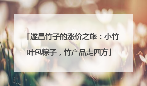 遂昌竹子的涨价之旅：小竹叶包粽子，竹产品走四方
