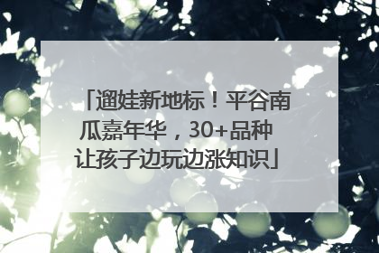 遛娃新地标！平谷南瓜嘉年华，30+品种让孩子边玩边涨知识