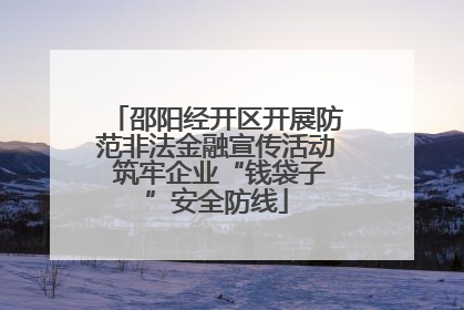 邵阳经开区开展防范非法金融宣传活动 筑牢企业“钱袋子”安全防线