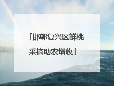 邯郸复兴区鲜桃采摘助农增收
