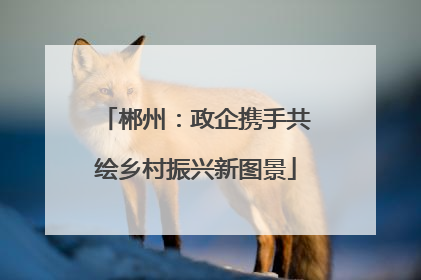 郴州：政企携手共绘乡村振兴新图景