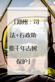 郑州：司法+行政助推千年古树保护