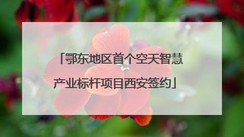 鄂东地区首个空天智慧产业标杆项目西安签约