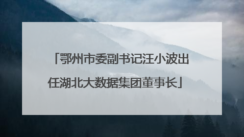鄂州市委副书记汪小波出任湖北大数据集团董事长