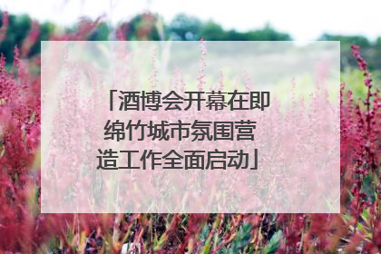 酒博会开幕在即 绵竹城市氛围营造工作全面启动