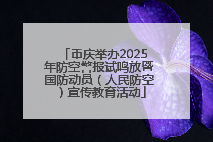 重庆举办2025年防空警报试鸣放暨国防动员（人民防空）宣传教育活动