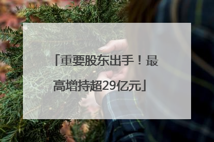 重要股东出手！最高增持超29亿元
