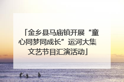 金乡县马庙镇开展“童心同梦同成长”运河大集文艺节目汇演活动
