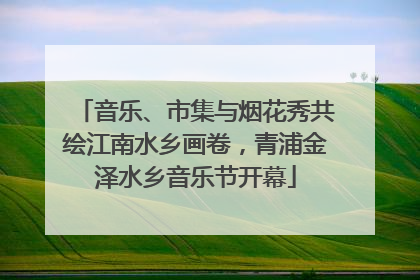 音乐、市集与烟花秀共绘江南水乡画卷，青浦金泽水乡音乐节开幕