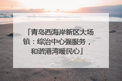 青岛西海岸新区大场镇：综治中心强服务，和谐港湾暖民心