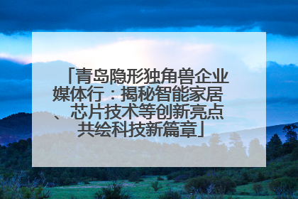青岛隐形独角兽企业媒体行：揭秘智能家居、芯片技术等创新亮点 共绘科技新篇章
