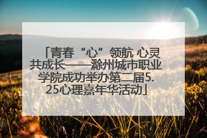 青春“心”领航 心灵共成长——滁州城市职业学院成功举办第二届5.25心理嘉年华活动