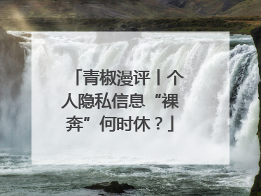 青椒漫评丨个人隐私信息“裸奔”何时休？
