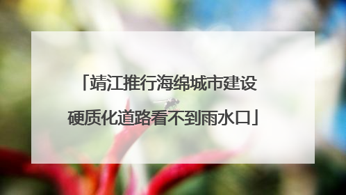 靖江推行海绵城市建设 硬质化道路看不到雨水口