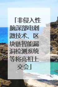 非侵入性脑深部电刺激技术、区块链智能漏洞检测系统等将亮相上交会