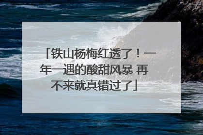 铁山杨梅红透了！一年一遇的酸甜风暴 再不来就真错过了