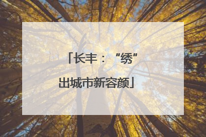 长丰：“绣”出城市新容颜