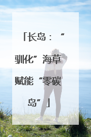 长岛：“驯化”海草赋能“零碳岛”