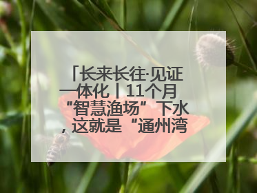 长来长往·见证一体化丨11个月“智慧渔场”下水，这就是“通州湾速度”！