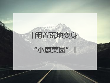 闲置荒地变身“小鹿菜园”