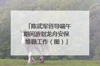 陈武军督导端午期间游划龙舟安保维稳工作（图）