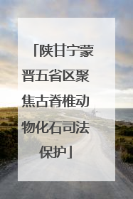 陕甘宁蒙晋五省区聚焦古脊椎动物化石司法保护