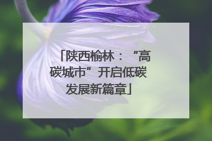 陕西榆林：“高碳城市”开启低碳发展新篇章