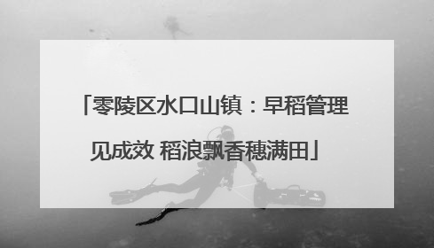 零陵区水口山镇：早稻管理见成效 稻浪飘香穗满田