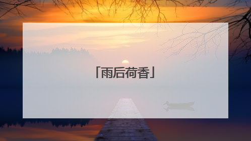 雨后荷香