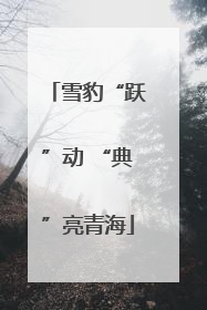 雪豹“跃”动 “典”亮青海