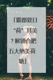 霸都夏日“荷”其美？解锁合肥五大绝美荷塘