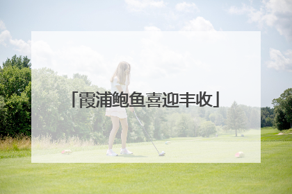 霞浦鲍鱼喜迎丰收