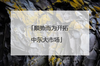 顺势而为开拓中东大市场