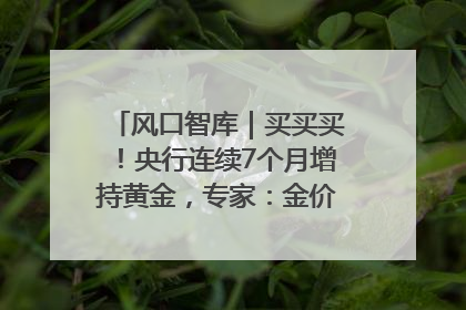 风口智库｜买买买！央行连续7个月增持黄金，专家：金价或仍易涨难跌