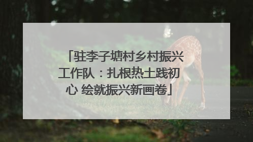 驻李子塘村乡村振兴工作队：扎根热土践初心 绘就振兴新画卷