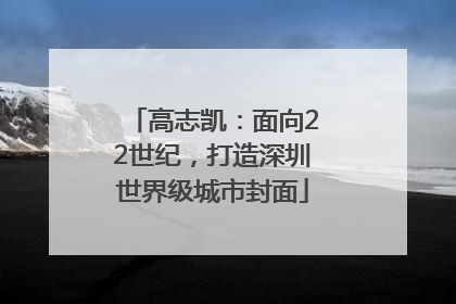 高志凯：面向22世纪，打造深圳世界级城市封面