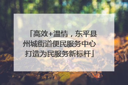 高效+温情，东平县州城街道便民服务中心打造为民服务新标杆