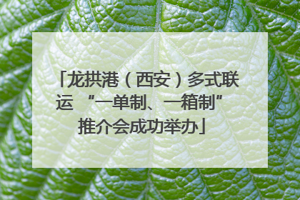 龙拱港（西安）多式联运 “一单制、一箱制” 推介会成功举办