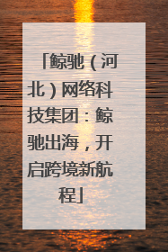 鲸驰（河北）网络科技集团：鲸驰出海，开启跨境新航程