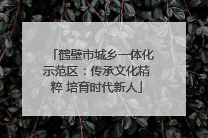 鹤壁市城乡一体化示范区：传承文化精粹 培育时代新人