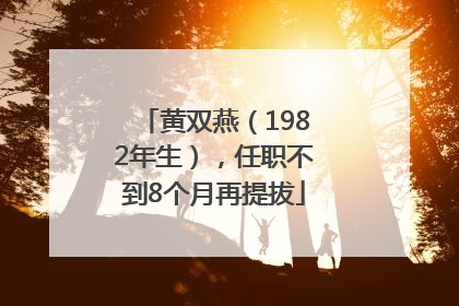 黄双燕（1982年生），任职不到8个月再提拔