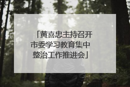 黄喜忠主持召开市委学习教育集中整治工作推进会