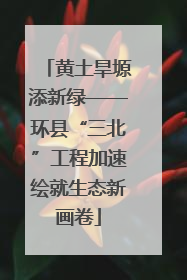 黄土旱塬添新绿——环县“三北”工程加速绘就生态新画卷