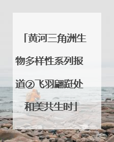 黄河三角洲生物多样性系列报道②飞羽翩跹处 和美共生时