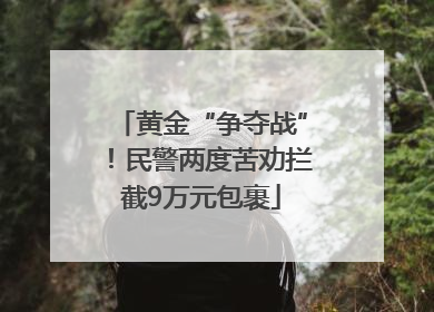 黄金“争夺战”！民警两度苦劝拦截9万元包裹