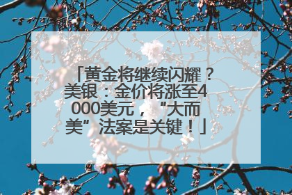 黄金将继续闪耀？美银：金价将涨至4000美元，“大而美”法案是关键！